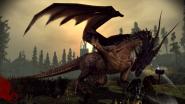 Dragon Ages Origins Screenshots